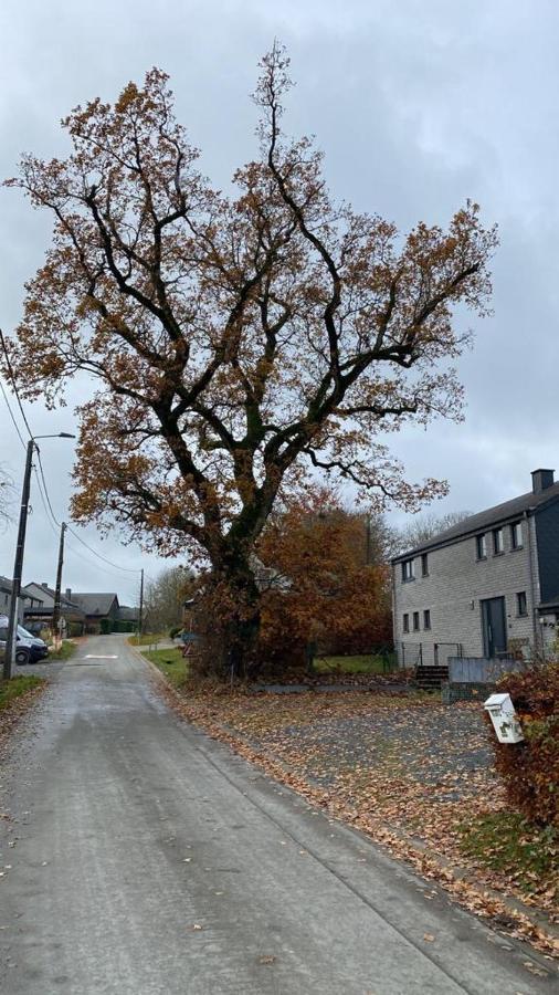 Le Gite Du Vieux Chene Bertogne Екстериор снимка